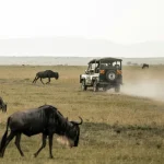 Stejos Tours & Travel (1)