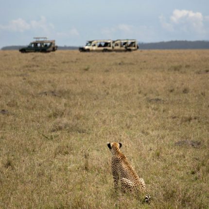 3-Day, 2-Night Maasai Mara Safari Adventure
