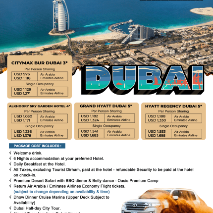 Dubai tour package cost